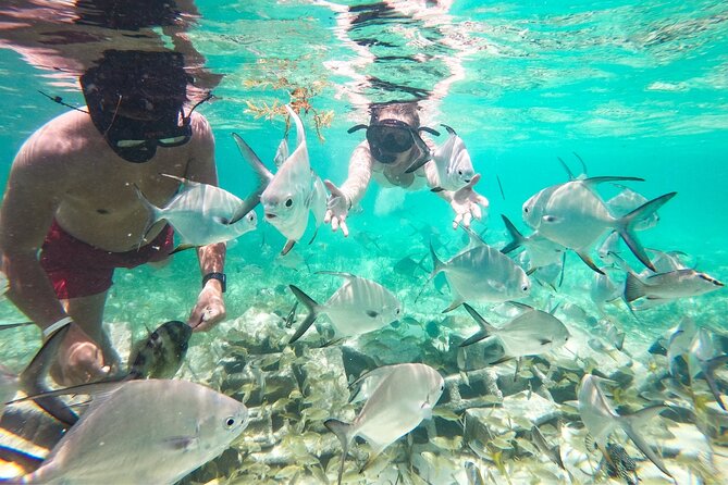 Snorkel Lovers for All Ages & Premium Seafood Lunch in Punta Cana - Back to the Natural Pool for Lunch: Floating Kitchen, Boat Slide Views