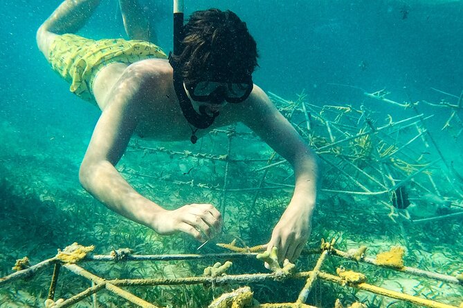 Snorkel Lovers for All Ages & Premium Seafood Lunch in Punta Cana - The Boat Experience: Open Bar, Photos, and Crew Energy