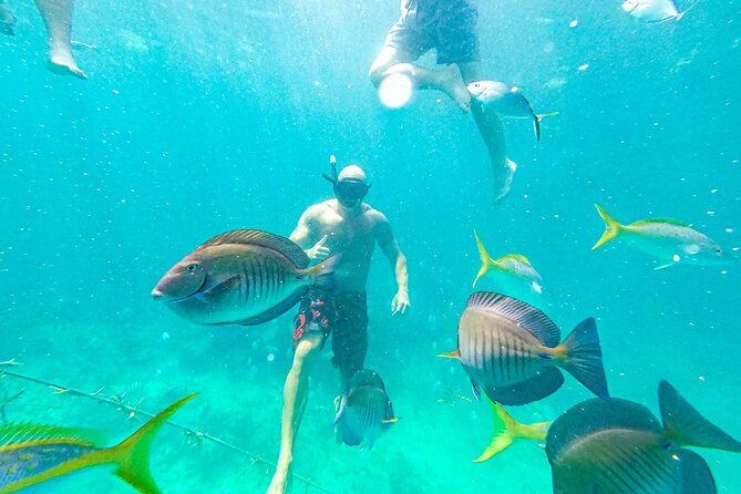 Snorkel Lovers for All Ages & Premium Seafood Lunch in Punta Cana - Who Should Book This (and Who Might Want a Different Day)