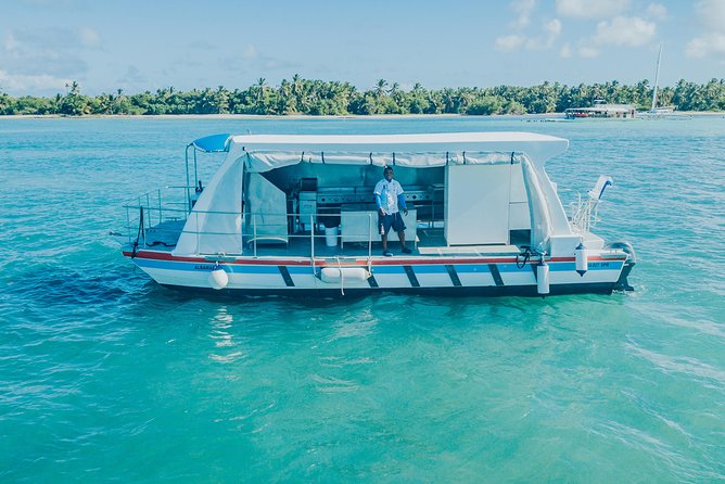 Snorkel Lovers for All Ages & Premium Seafood Lunch in Punta Cana - Natural Pool Stop: Shallow Water, Artificial Reefs, and Fast Confidence