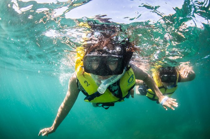 Snorkel, Lunch & Sail in Cabo San Lucas - Safety and crew style: mostly smooth, but watch the gear moment
