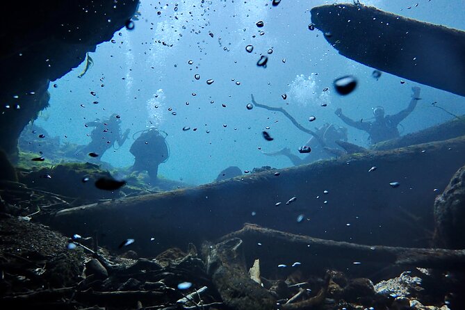 Snorkel Or Dive The Amazing Rainbow River Florida - When the Trip Feels Personal: Guides and Day-of Help