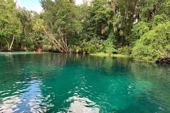Snorkel Or Dive The Amazing Rainbow River Florida - What You Need to Bring (And What You Can Skip)