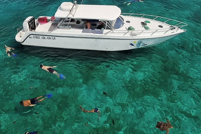Snorkel St. John Tour from Sapphire and Margaritaville - Your first snorkel stop: guided help that makes a difference