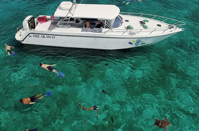 Snorkel St. John Tour from Sapphire and Margaritaville - The lunch-and-drinks stretch: why it’s more than a break