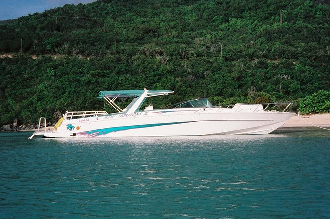 Snorkel St. John Tour from Sapphire and Margaritaville - Stop two and three: wildlife moments, calmer water, and real snorkeling variety