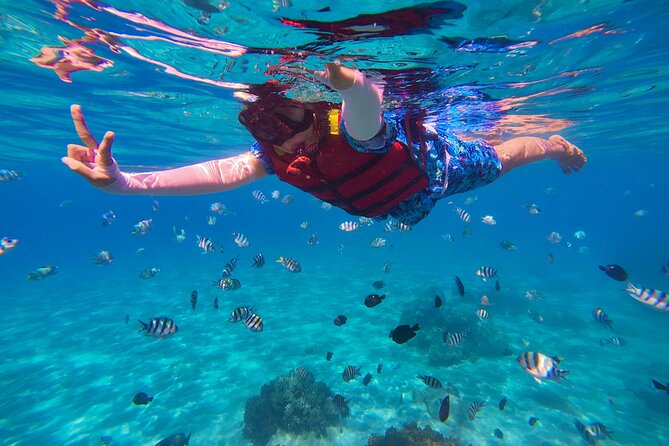 Snorkel St. John Tour from Sapphire and Margaritaville - The 9am to 3pm flow: breakfast, snorkels, lunch, and back again
