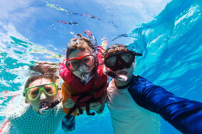 Snorkel & Swim with Turtles. Semi Private Tour to Buck Island & Honeymoon Beach - Honeymoon Beach on Water Island: The Sand-and-Views Reward