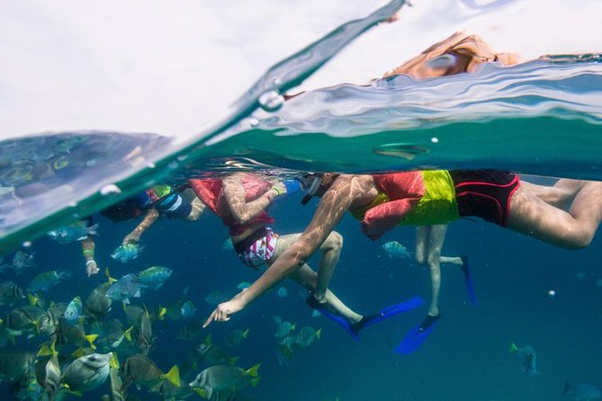 Snorkel Tour and Glass-Bottom Boat Ride in Cabo San Lucas - Hotel Pickup in Los Cabos: Why This Tour Feels Easy