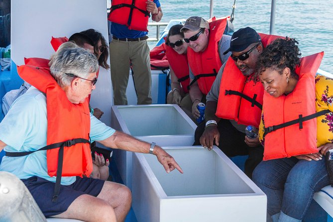 Snorkel Tour and Glass-Bottom Boat Ride in Cabo San Lucas - Snorkel Gear Fit: Fins, Buoy Vest, and Comfort Checks