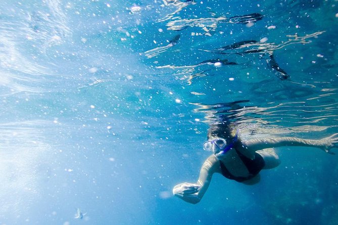 Snorkel Tour and Glass-Bottom Boat Ride in Cabo San Lucas - Guides, Narration, and the Small-Group Advantage