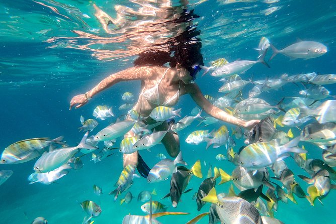 Snorkel Tour and Glass-Bottom Boat Ride in Cabo San Lucas - Morning vs Afternoon: How to Pick Your Departure