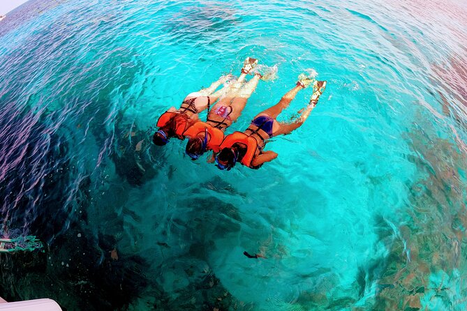 Snorkel Tour - Visit 2 Shallow Reefs John Pennekamp State Park - Grecian Rocks + Protected Waters: Second Reef Time for More Fish, More Coral