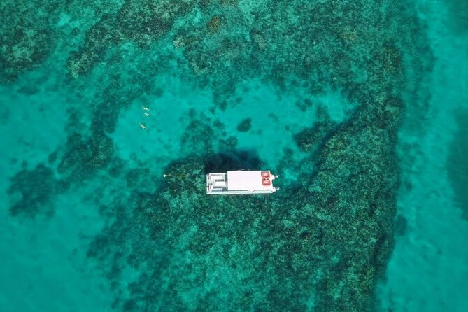 Snorkel Tour - Visit 2 Shallow Reefs John Pennekamp State Park - Equipment, Masks, and Safety Rules That Actually Change Your Day