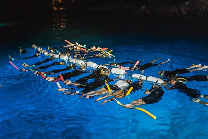 Snorkel with Manta Rays Guaranteed - Gear Setup, Mask Rules, and the No-Touch Approach