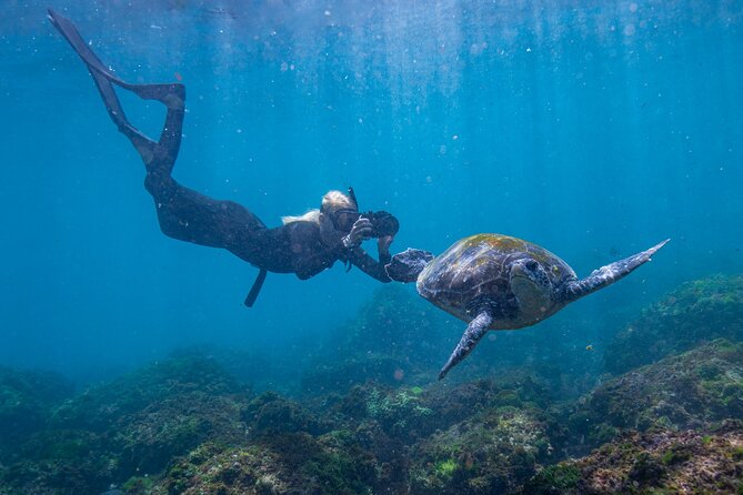 Snorkel with Turtles Gold Coast - Snorkeling gear included: fewer hassles, better chances to enjoy it