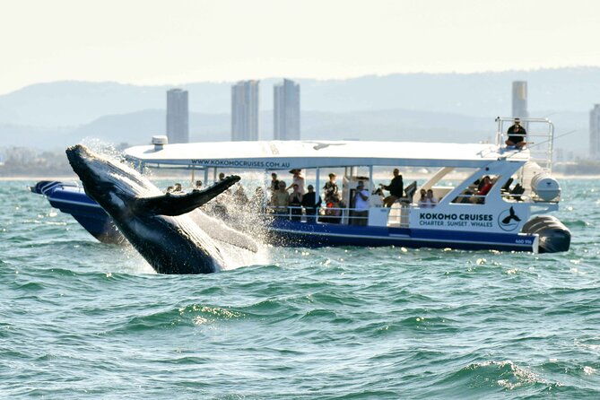 Snorkel with Turtles Gold Coast - Safety reality check: life jackets aren’t used in the water