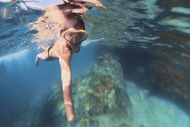 Snorkeling 360 Experience in Sazan Island & Karaburun - Where you start in Vlore and how the day flows