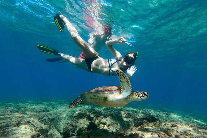 Snorkeling Adventure in Aguadilla - Aguadilla Shore Snorkeling: What You’re Really Signing Up For