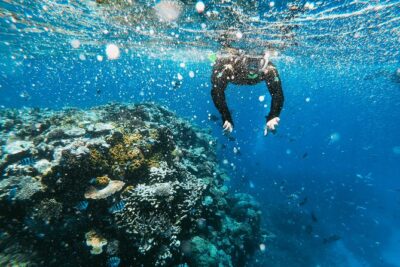 Snorkeling Adventure in La Jolla - Emerald Cave: The Highlight, the Work, and Why It’s Worth It
