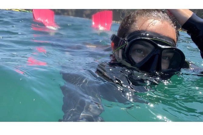 Snorkeling Adventure in La Jolla - Safety Rules You Can’t Skip: Swim Skills and Wave Reality