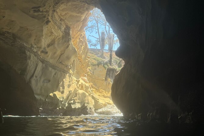Snorkeling Adventure in La Jolla - Value: What You’re Paying For (and What You’re Not)