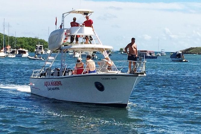 Snorkeling Adventure in St Thomas - Snorkeling Gear and Safety Help That Actually Helps