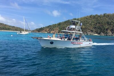Snorkeling Adventure in St Thomas - Two Snorkel Stops: How the Trip Increases Your Odds