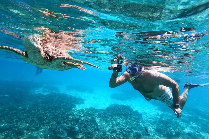 Snorkeling Adventure to Daymaniat Islands - Two guided snorkeling stops near nine islands