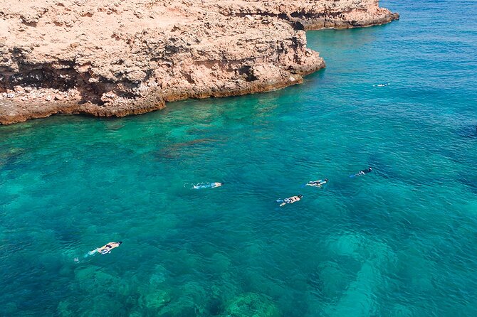 Snorkeling Adventure to Daymaniat Islands - May–October: no beach access because wildlife nesting comes first