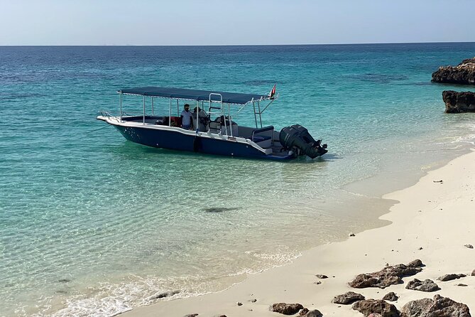 Snorkeling Adventure to Daymaniat Islands - What’s included on the boat: gear, fruits, water, and lunch