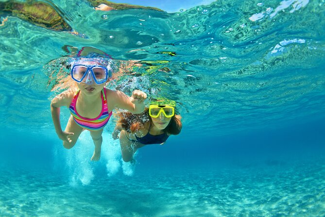 Snorkeling and Dolphin Watching Experience in Destin - Key highlights worth booking for