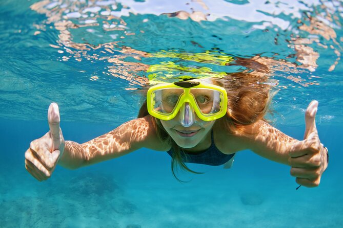 Snorkeling and Dolphin Watching Experience in Destin - A 3-hour dolphin-and-snorkel cruise from Fort Walton Beach