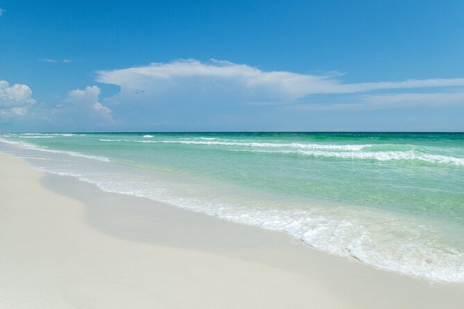 Snorkeling and Dolphin Watching Experience in Destin - The hermit crab race and deck entertainment that keeps families smiling
