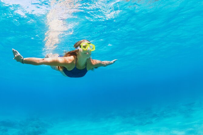 Snorkeling and Dolphin Watching Experience in Destin - Timing and pacing: why the 3 hours can feel perfect or rushed