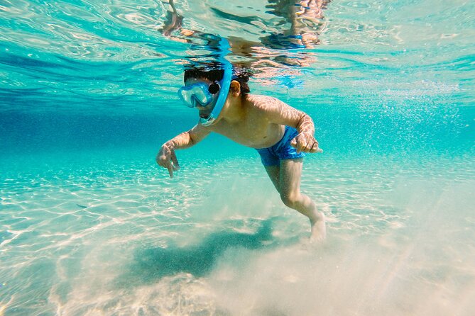 Snorkeling and Dolphin Watching Experience in Destin - What the $44 ticket gets you (and why it feels fair)