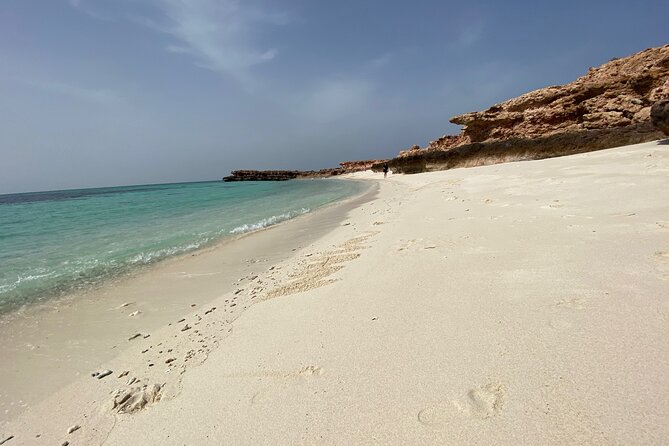 Snorkeling at Dimaniyat Islands and Dolphin Watching - From Al Seeb Port to Dimaniyat: The start that sets the tone