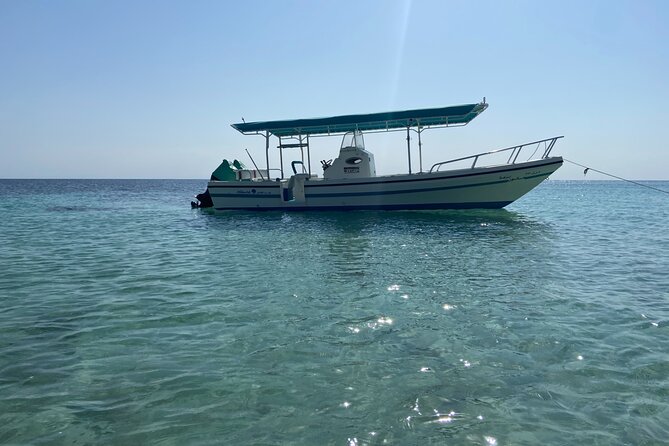 Snorkeling at Dimaniyat Islands and Dolphin Watching - Dolphin watching: how the hunt works, and why results vary