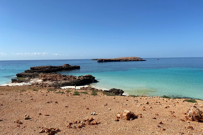 Snorkeling at Dimaniyat Islands and Dolphin Watching - Al Alam Palace photo pass: a rare land-and-sea bonus