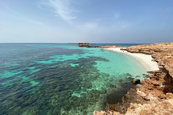 Snorkeling at Dimaniyat Islands and Dolphin Watching - Price value at $87: when it feels fair, and when to be cautious