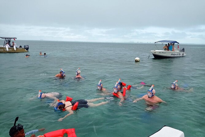 Snorkeling at Hol Chan Marine Reserve and Shark Ray Alley - Timing Matters: 8:30am vs 1:30pm and How It Shapes Your Water Time