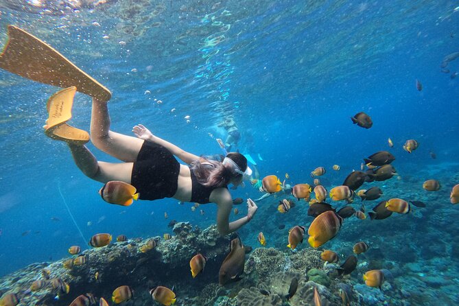 Snorkeling Day Trip To Lembongan and Penida - Key points before you go