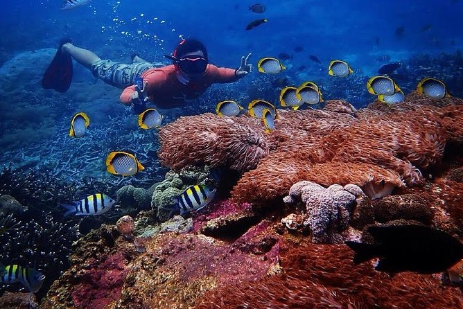 Snorkeling Day Trip To Lembongan and Penida - Sanur to Lembongan to Penida: how the day is paced
