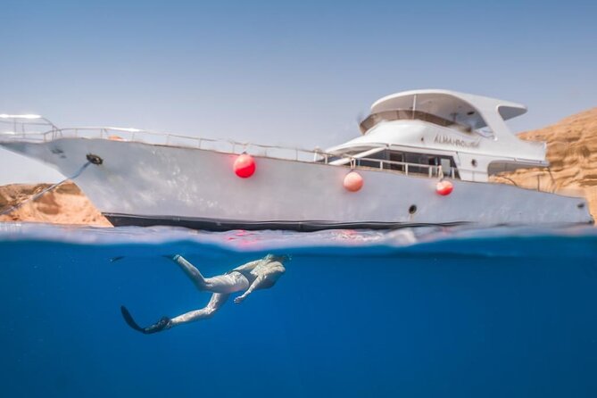 Snorkeling Day Trip to White Island and Ras Mohamed from Sharm - Who This Trip Suits Best (And Who Might Want a Different Plan)