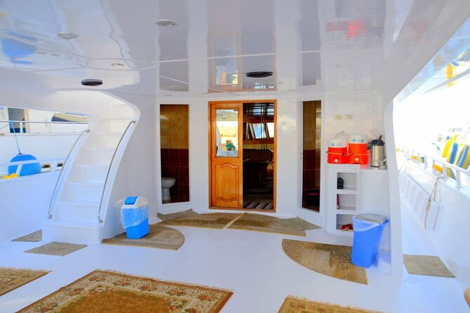 Snorkeling Day Trip To White Island And Ras Mohammed By VIP Boat - Key highlights that make this day trip work