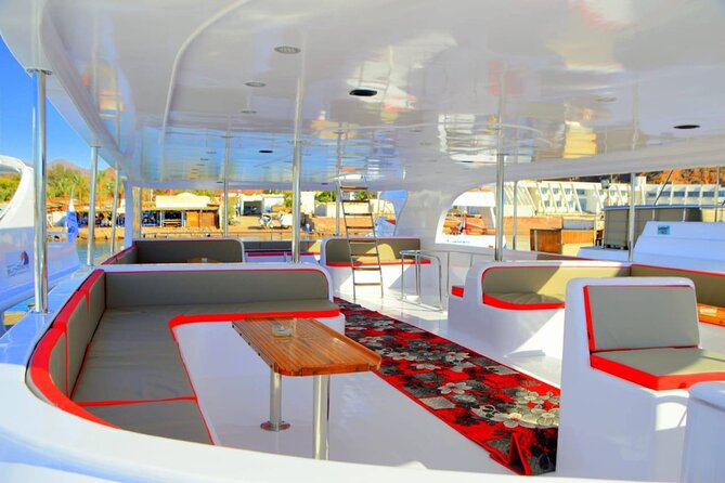 Snorkeling Day Trip To White Island And Ras Mohammed By VIP Boat - Getting picked up and set up for a long reef day