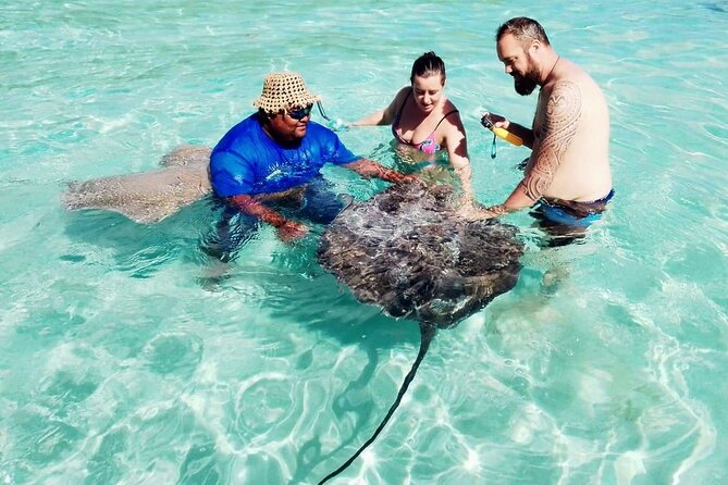 Snorkeling excursion and encounter with marine fauna in Moorea - Moorea Tiki Tour in One Breath: What This Snorkeling Trip Is Really Like