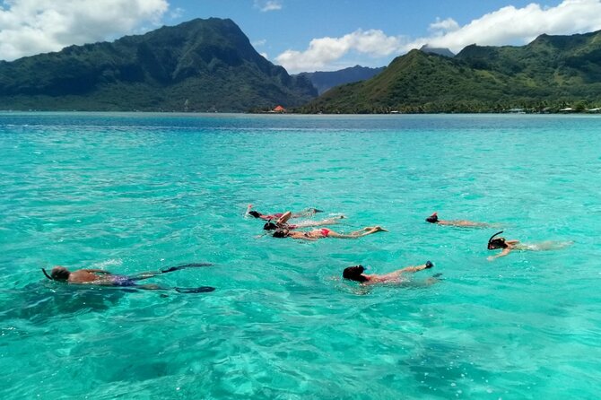 Snorkeling excursion and encounter with marine fauna in Moorea - Guides Matter Here: Michel, Yo, and Dexter’s Moorea Storytelling