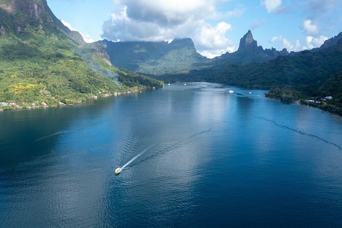 Snorkeling excursion and encounter with marine fauna in Moorea - Boat Access and Real-World Comfort: The Ladder and the Water Time