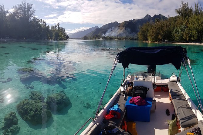 Snorkeling excursion, discovery of the lagoon, small group. - Key highlights you’ll feel right away